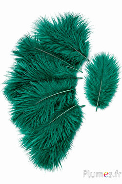Struzzo Bellies - 8-13 cm - smeraldo
